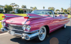 Kevs Kaddies Pink twin fin