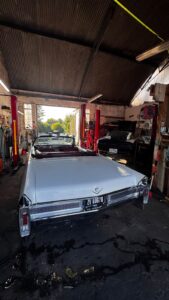 Nicks 66 PHOTO-2026-07-18-18-16-03