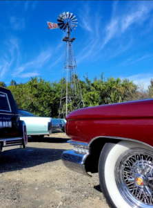Sat Carjam 604